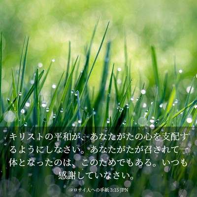 Picture 03 - コロサイ人への手紙 3:15 JPN - キリストの平和が、あなたがたの心 - Bible Verse Picture