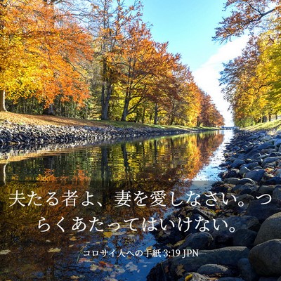 Picture 03 - コロサイ人への手紙 3:19 JPN - 夫たる者よ、妻を愛しなさい。つら - Bible Verse Picture