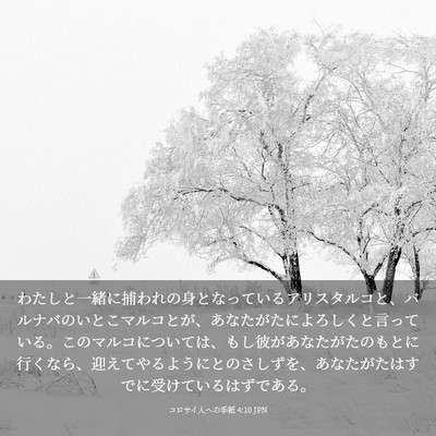 Picture 03 - コロサイ人への手紙 4:10 JPN - わたしと一緒に捕われの身となって - Bible Verse Picture