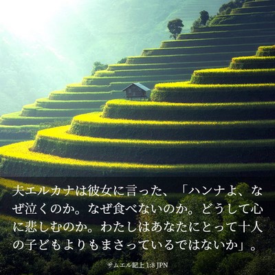 Picture 03 - サムエル記上 1:8 JPN - 夫エルカナは彼女に言った、「ハン - Bible Verse Picture