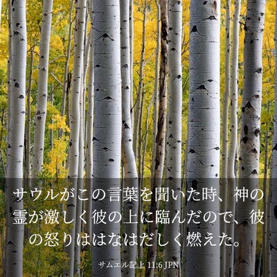 Picture 03 - サムエル記上 11:6 JPN - サウルがこの言葉を聞いた時、神の - Bible Verse Picture