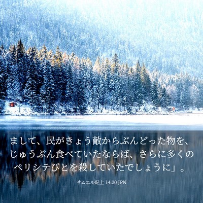 Picture 03 - サムエル記上 14:30 JPN - まして、民がきょう敵からぶんどっ - Bible Verse Picture