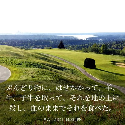 Picture 03 - サムエル記上 14:32 JPN - ぶんどり物に、はせかかって、羊、 - Bible Verse Picture