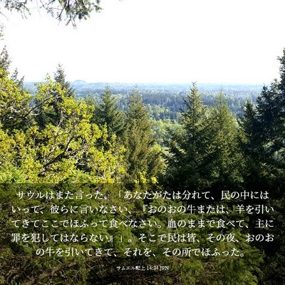 Picture 03 - サムエル記上 14:34 JPN - サウルはまた言った、「あなたがた - Bible Verse Picture