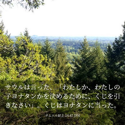 Picture 03 - サムエル記上 14:42 JPN - サウルは言った、「わたしか、わた - Bible Verse Picture