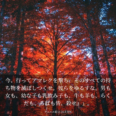Picture 03 - サムエル記上 15:3 JPN - 今、行ってアマレクを撃ち、そのす - Bible Verse Picture