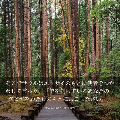 Picture 03 - サムエル記上 16:19 JPN - そこでサウルはエッサイのもとに使 - Bible Verse Picture