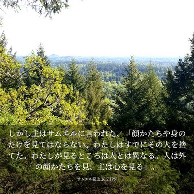 Picture 03 - サムエル記上 16:7 JPN - しかし主はサムエルに言われた、「 - Bible Verse Picture