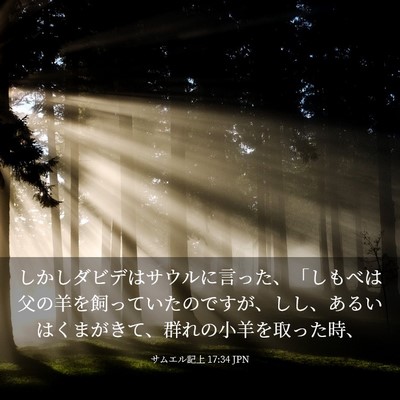 Picture 03 - サムエル記上 17:34 JPN - しかしダビデはサウルに言った、「 - Bible Verse Picture