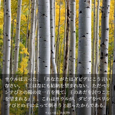Picture 03 - サムエル記上 18:25 JPN - サウルは言った、「あなたがたはダ - Bible Verse Picture