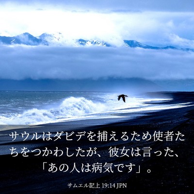 Picture 03 - サムエル記上 19:14 JPN - サウルはダビデを捕えるため使者た - Bible Verse Picture