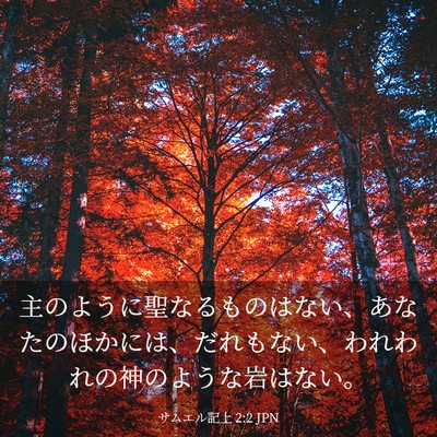 Picture 03 - サムエル記上 2:2 JPN - 主のように聖なるものはない、あな - Bible Verse Picture