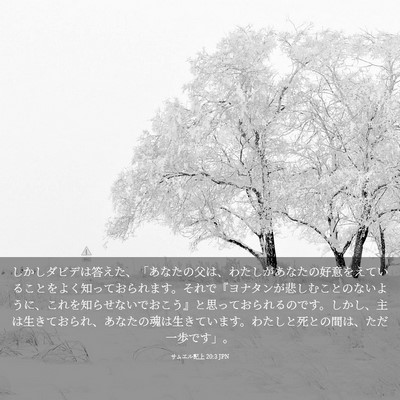 Picture 03 - サムエル記上 20:3 JPN - しかしダビデは答えた、「あなたの - Bible Verse Picture