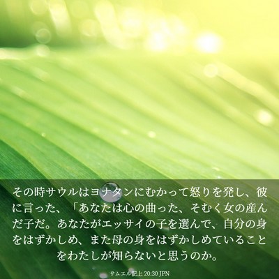 Picture 03 - サムエル記上 20:30 JPN - その時サウルはヨナタンにむかって - Bible Verse Picture