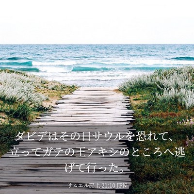 Picture 03 - サムエル記上 21:10 JPN - ダビデはその日サウルを恐れて、立 - Bible Verse Picture