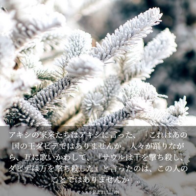 Picture 03 - サムエル記上 21:11 JPN - アキシの家来たちはアキシに言った - Bible Verse Picture