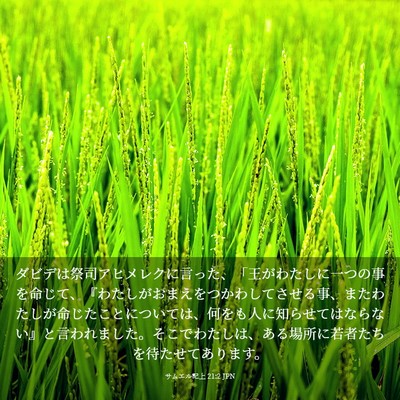 Picture 03 - サムエル記上 21:2 JPN - ダビデは祭司アヒメレクに言った、 - Bible Verse Picture