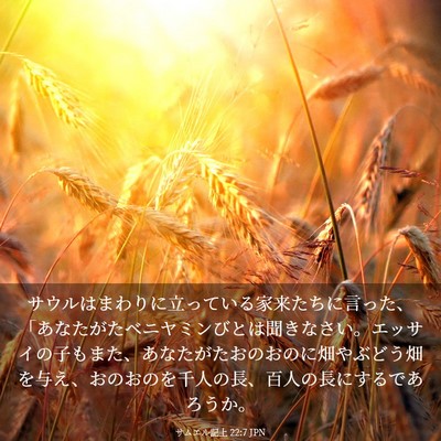 Picture 03 - サムエル記上 22:7 JPN - サウルはまわりに立っている家来た - Bible Verse Picture