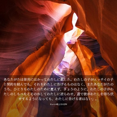 Picture 03 - サムエル記上 22:8 JPN - あなたがたは皆共にはかってわたし - Bible Verse Picture
