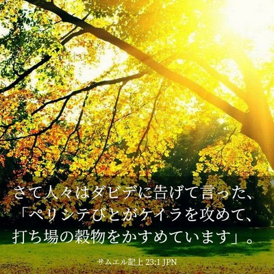 Picture 03 - サムエル記上 23:1 JPN - さて人々はダビデに告げて言った、 - Bible Verse Picture