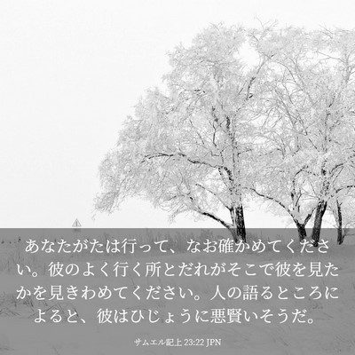 Picture 03 - サムエル記上 23:22 JPN - あなたがたは行って、なお確かめて - Bible Verse Picture