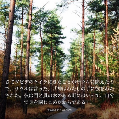 Picture 03 - サムエル記上 23:7 JPN - さてダビデのケイラにきたことがサ - Bible Verse Picture