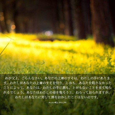 Picture 03 - サムエル記上 24:11 JPN - わが父よ、ごらんなさい。あなたの - Bible Verse Picture