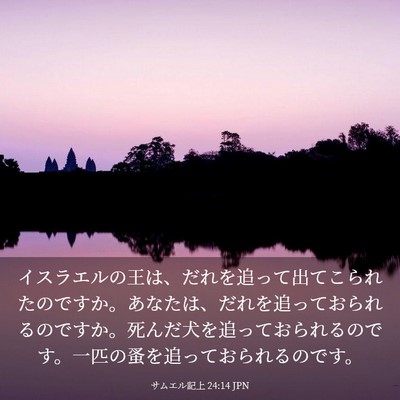 Picture 03 - サムエル記上 24:14 JPN - イスラエルの王は、だれを追って出 - Bible Verse Picture
