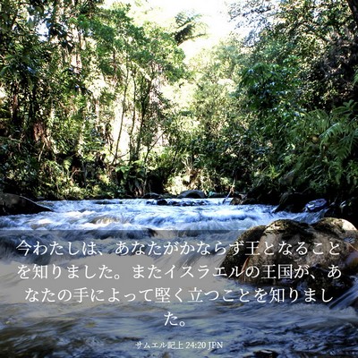 Picture 03 - サムエル記上 24:20 JPN - 今わたしは、あなたがかならず王と - Bible Verse Picture