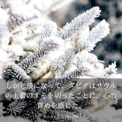 Picture 03 - サムエル記上 24:5 JPN - しかし後になって、ダビデはサウル - Bible Verse Picture