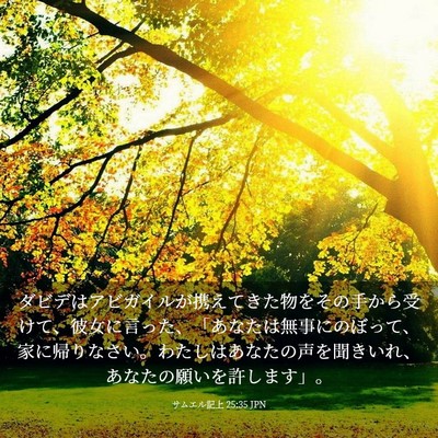 Picture 03 - サムエル記上 25:35 JPN - ダビデはアビガイルが携えてきた物 - Bible Verse Picture