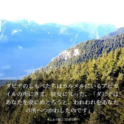 Picture 03 - サムエル記上 25:40 JPN - ダビデのしもべたちはカルメルにい - Bible Verse Picture