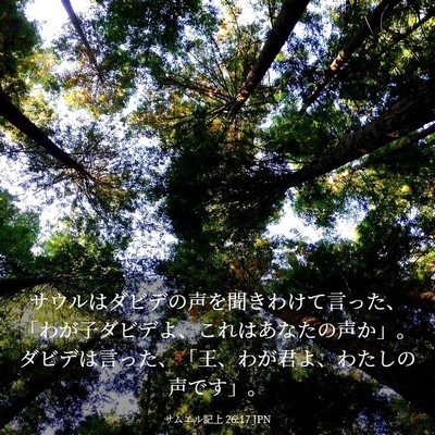 Picture 03 - サムエル記上 26:17 JPN - サウルはダビデの声を聞きわけて言 - Bible Verse Picture