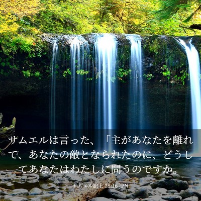 Picture 03 - サムエル記上 28:16 JPN - サムエルは言った、「主があなたを - Bible Verse Picture