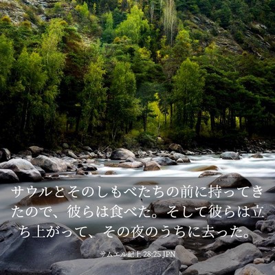 Picture 03 - サムエル記上 28:25 JPN - サウルとそのしもべたちの前に持っ - Bible Verse Picture
