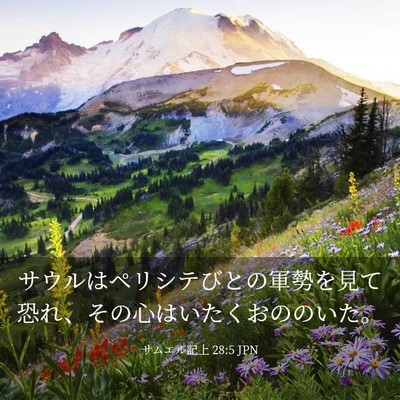 Picture 03 - サムエル記上 28:5 JPN - サウルはペリシテびとの軍勢を見て - Bible Verse Picture
