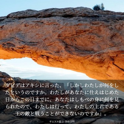 Picture 03 - サムエル記上 29:8 JPN - ダビデはアキシに言った、「しかし - Bible Verse Picture