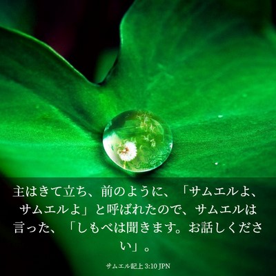 Picture 03 - サムエル記上 3:10 JPN - 主はきて立ち、前のように、「サム - Bible Verse Picture