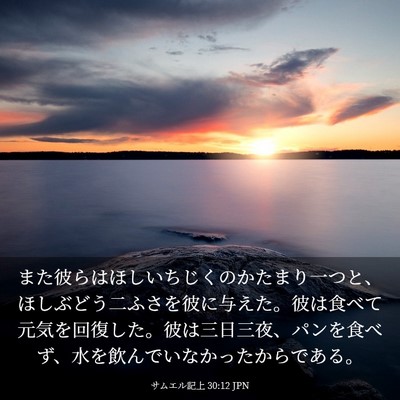 Picture 03 - サムエル記上 30:12 JPN - また彼らはほしいちじくのかたまり - Bible Verse Picture