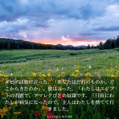 Picture 03 - サムエル記上 30:13 JPN - ダビデは彼に言った、「あなたはだ - Bible Verse Picture