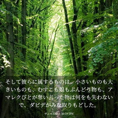Picture 03 - サムエル記上 30:19 JPN - そして彼らに属するものは、小さい - Bible Verse Picture