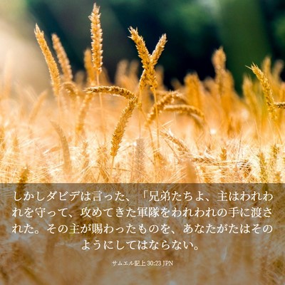 Picture 03 - サムエル記上 30:23 JPN - しかしダビデは言った、「兄弟たち - Bible Verse Picture