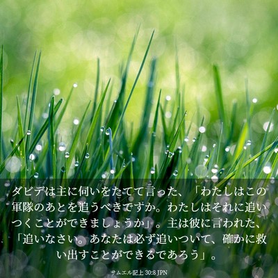 Picture 03 - サムエル記上 30:8 JPN - ダビデは主に伺いをたてて言った、 - Bible Verse Picture