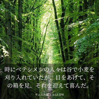 Picture 03 - サムエル記上 6:13 JPN - 時にベテシメシの人々は谷で小麦を - Bible Verse Picture