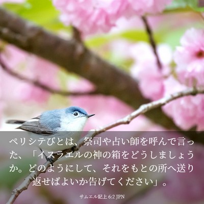 Picture 03 - サムエル記上 6:2 JPN - ペリシテびとは、祭司や占い師を呼 - Bible Verse Picture