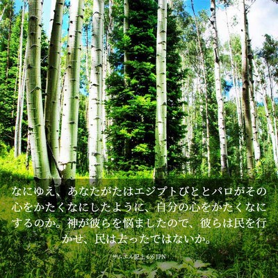 Picture 03 - サムエル記上 6:6 JPN - なにゆえ、あなたがたはエジプトび - Bible Verse Picture