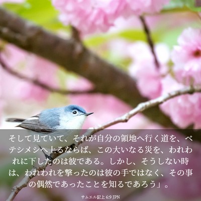 Picture 03 - サムエル記上 6:9 JPN - そして見ていて、それが自分の領地 - Bible Verse Picture