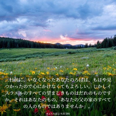 Picture 03 - サムエル記上 9:20 JPN - 三日前に、いなくなったあなたのろ - Bible Verse Picture