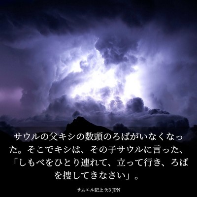 Picture 03 - サムエル記上 9:3 JPN - サウルの父キシの数頭のろばがいな - Bible Verse Picture