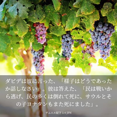 Picture 03 - サムエル記下 1:4 JPN - ダビデは彼に言った、「様子はどう - Bible Verse Picture